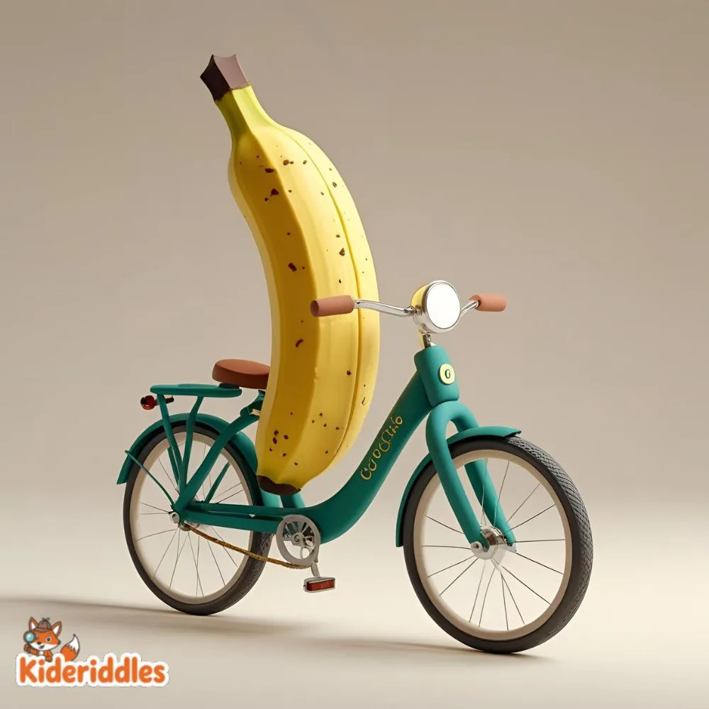 A banana-cycle.