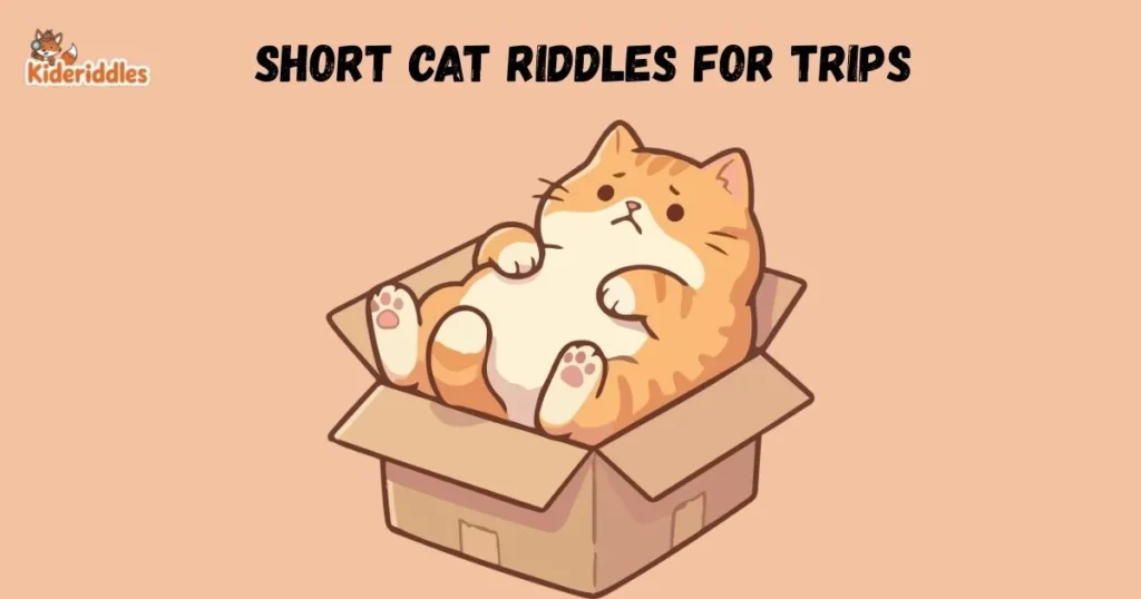 Short Cat Riddles For Trips