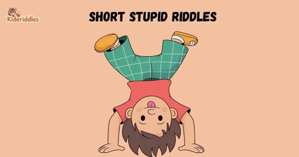 Short Stupid Riddles