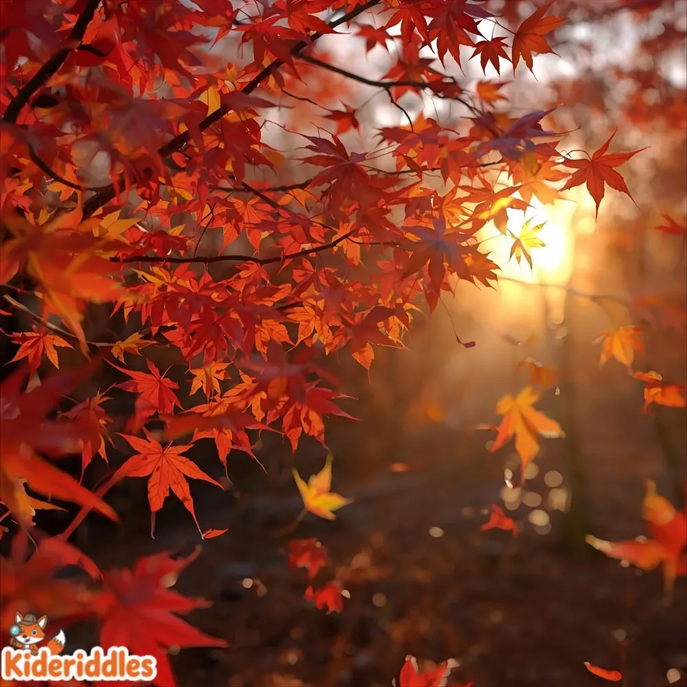 Short September Riddles