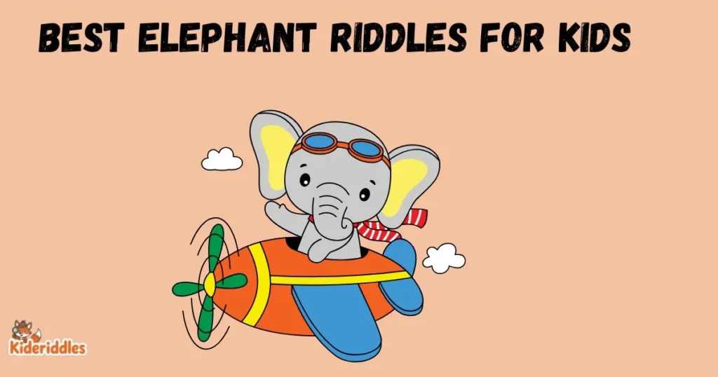 Best Elephant Riddles For Kids