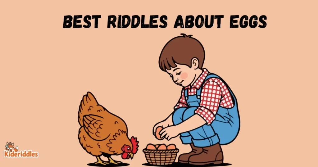 Best Riddles About Eggs