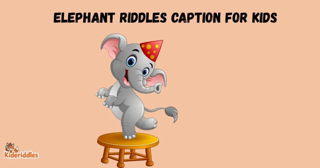 Elephant Riddles Caption For Kids