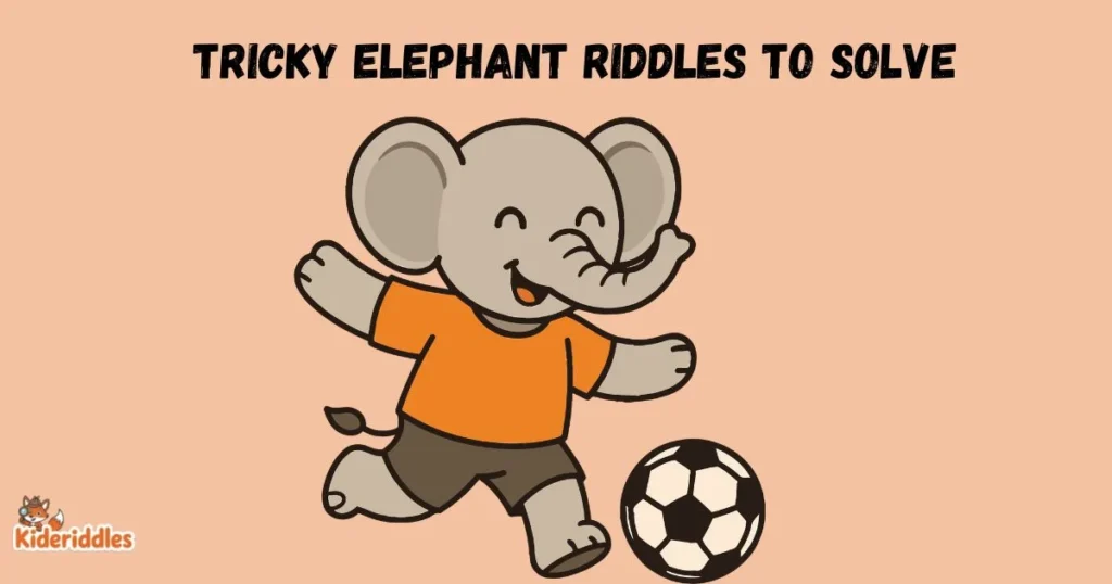 Tricky Elephant Riddles To Solve