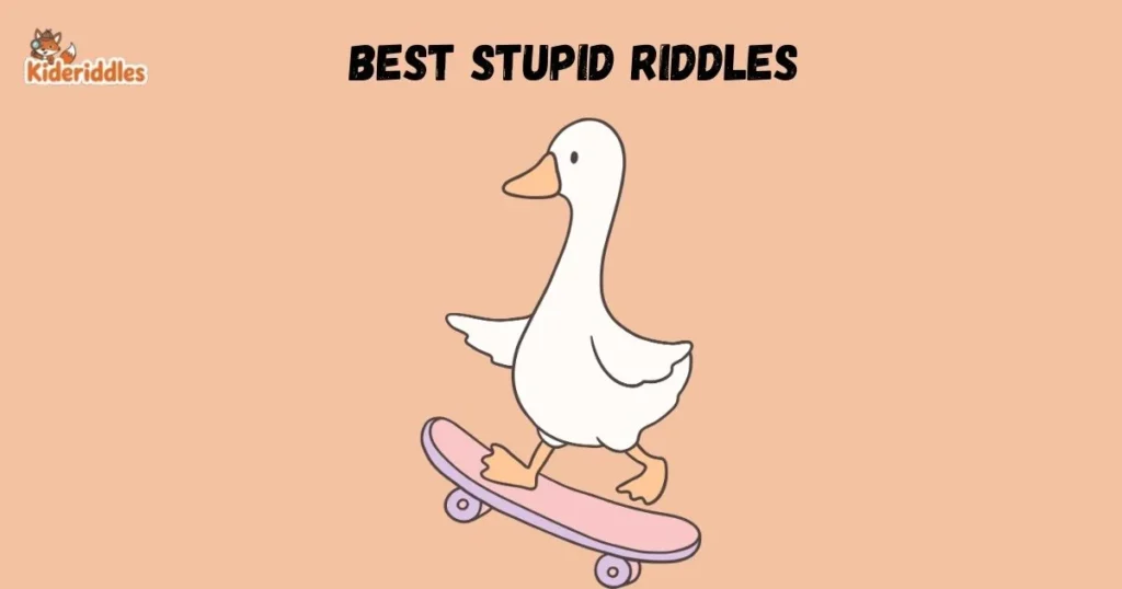 Best Stupid Riddles