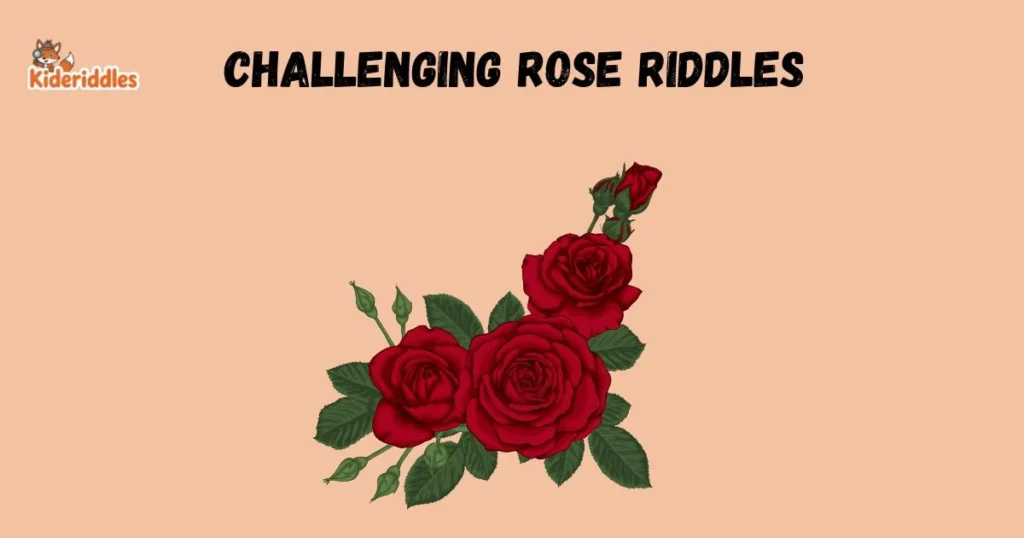 Challenging Rose Riddles