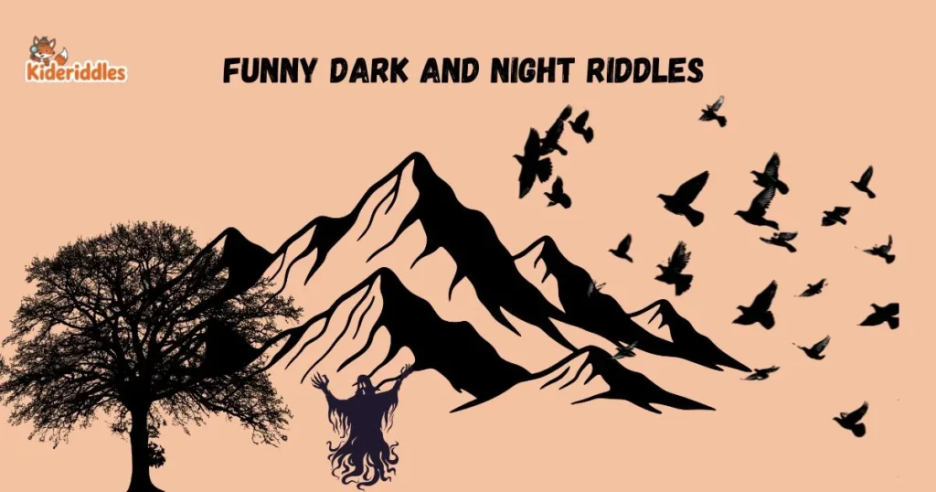 Funny Dark And Night Riddles