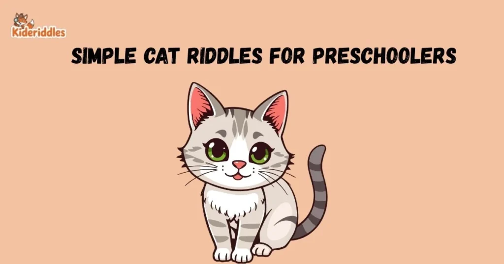 Simple Cat Riddles For Preschoolers