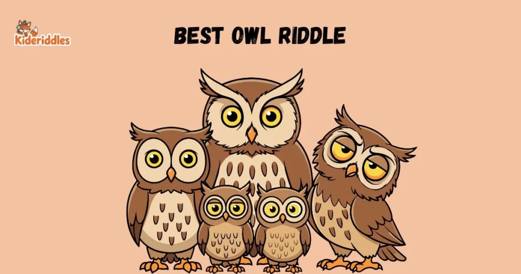 Best Owl Riddle