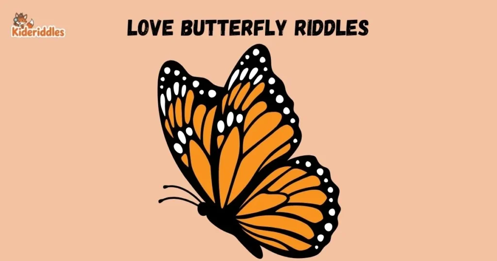 Love Butterfly Riddles