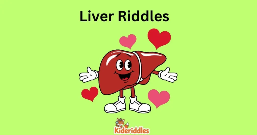 Liver Riddles