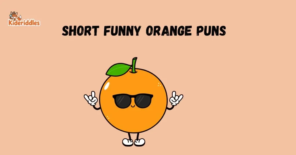 Short Funny Orange Puns