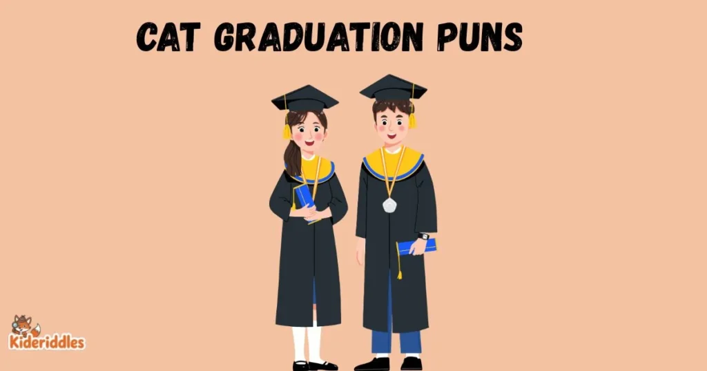 Cat Graduation Puns