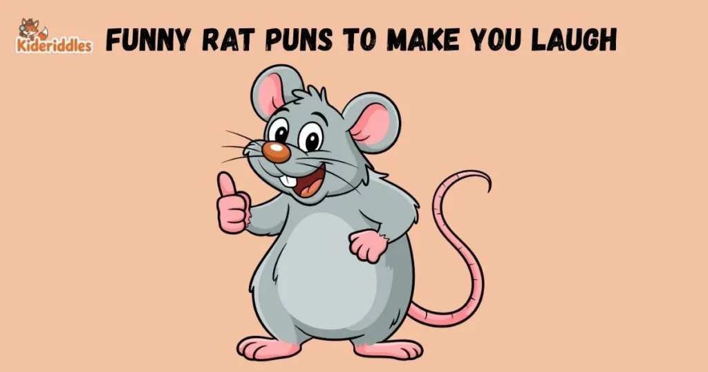 Funny Rat Puns To Make You Laugh