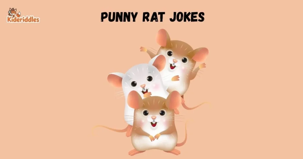 Punny Rat Jokes For Social Media