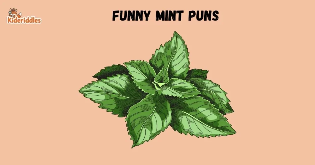 Funny Mint Puns