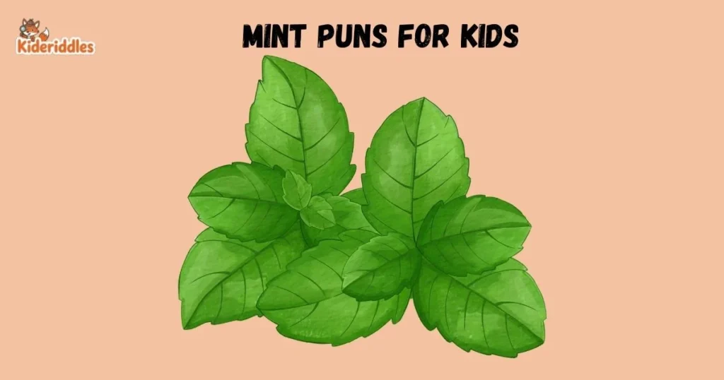 Mint Puns For Kids