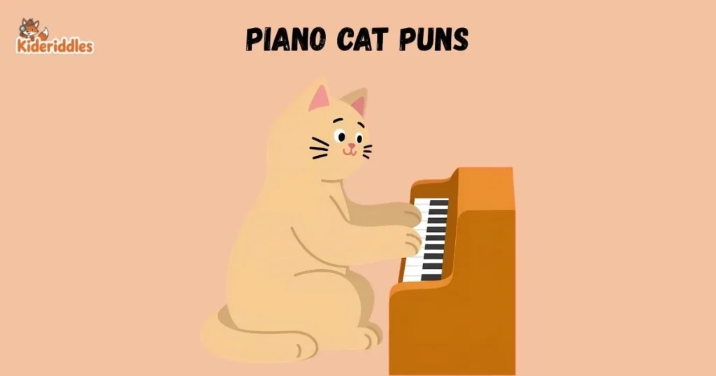 Piano Cat Puns