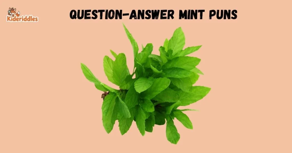 Question Answer Mint Puns