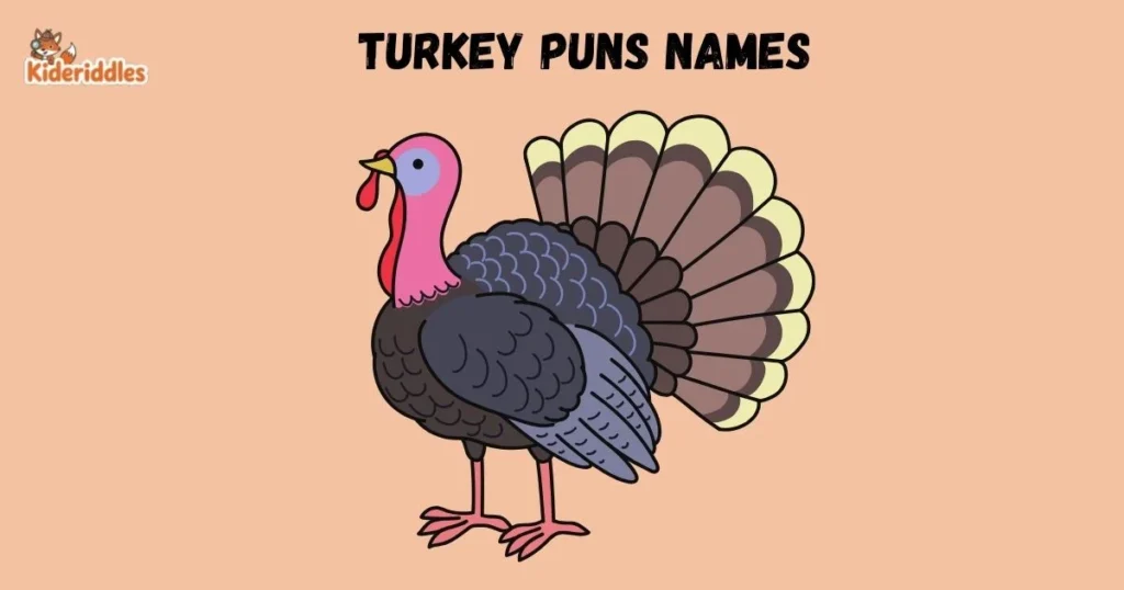 Turkey Puns Names